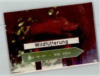 69429 W6935 Mülben FOTO KEINE AK Zur Wildfütterung