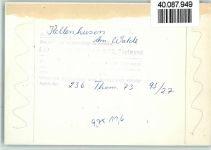 23746 W2436 Kellenhusen (Ostsee) FOTO KEINE AK Am Walde