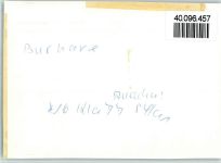 26969 W2890 Burhave , Kr Wesermarsch FOTO KEINE AK Innenaufnahme Gastraum Theke
