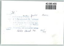 54536 W5563 Kröv FOTO KEINE AK Drei Giebel Haus