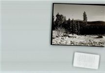 38667 W3396 Torfhaus , Harz FOTO KEINE AK Winterwald