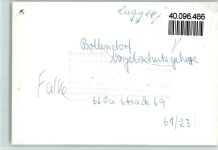 W5526 Bollendorf Vogelschutzgehege Falke Vogel FOTO KEINE AK