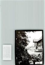 31595 W3074 Steyerberg FOTO KEINE AK