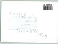 56814 W5591 Bruttig FOTO KEINE AK Frachtschiff auf der Mosel
