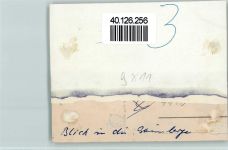 48301 W4405 Schapdetten - Foto 9x11cm