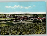 55452 W6531 Windesheim - Gesamtansicht Weinberge