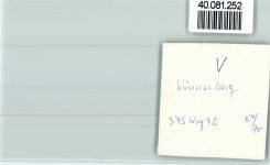 33181 W4798 Wünnenberg FOTO KEINE AK Ortsansicht