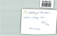 26316 W2930 Altjührden FOTO KEINE AK Gaststube