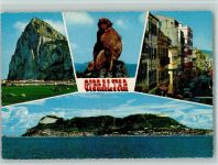Gibraltar Felsenaffen Rock Apes Affe