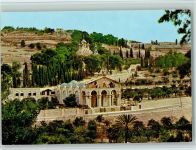 Jerusalem - Garten von Gethsemane