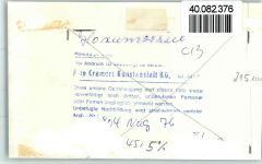 26434 W2942 Horumersiel FOTO KEINE AK Segler