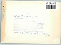 94556 W8351 Waldhäuser FOTO KEINE AK Pension Rachelblick