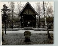 49838 W4453 Gersten - Foto TK80