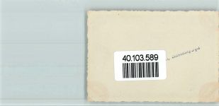 25980 W2280 Puan Klent , Sylt Foto AK Küken aus dem Ei Foto5,5,x8cm