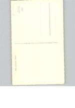 65343 W6228 Rauenthal , Rheingau