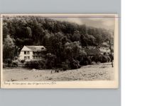 76848 W6741 Wilgartswiesen