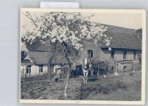 66996 W6781 Fischbach bei Dahn - Foto