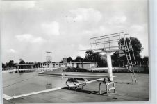 26689 W2913 Apen - Schwimmbad