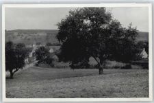 96126 W8617 Ditterswind