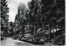 92714 W8481 Pleystein - Zottlbachtal