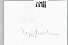 48317 W4406 Walstedde - Foto-Karte