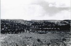 97204 W8706 Höchberg - Foto-Karte