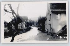 69250 W6917 Altneudorf
