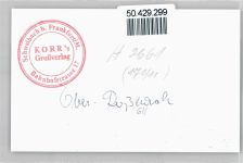 61191 W6365 Ober-Rosbach , Kr Friedberg, Hess - Foto Springbrunnen Fußgänger