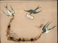 Poesie Vogel