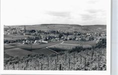 55452 W6531 Windesheim - Foto-Karte