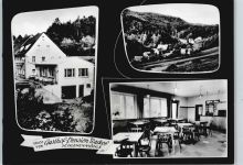 91349 W8551 Schlehenmühle - Gasthaus, Pension Backof