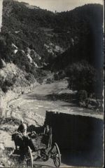Veles