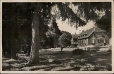79295 W7811 Sulzburg , Baden
