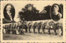 Krone, elefanten Zirkus