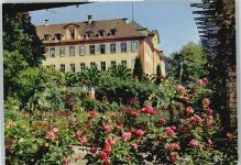 78462 W7750 Insel Mainau