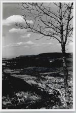 72805 W7414 Unterhausen , Württ - Gesamtansicht Baum Tal Berg