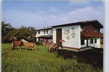 63863 W8751 Oberwintersbach - Gasthaus Pension zur Geishöhe