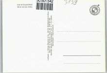 29456 W3139 Hitzacker (Elbe) - Fliegeraufnahme Fluss Feld Haus Baum