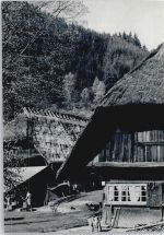 77709 W7620 Wolfach - Hof