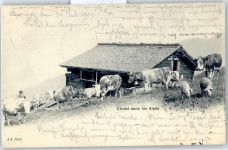 Kühe Chaltes dans les Alpes Bäuerliches Leben