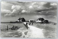 25859 W2251 Hooge , Hallig - Panorama Fußgänger