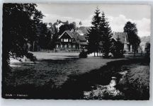 54550 W5568 Daun - gel. 23.08.62, Eifelheim