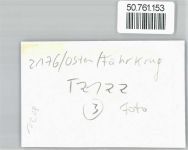21756 W2176 Osten , Oste FOTO KEINE AK Foto, Fährkrug