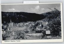 61389 W6384 Schmitten , Taunus - Panorama