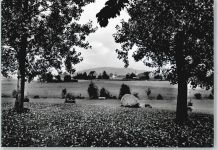 32545 W4970 Wulferdingsen - Teilansicht