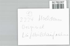 25712 W2224 Hochdonn FOTO KEINE AK Foto, Fliegeraufnahme