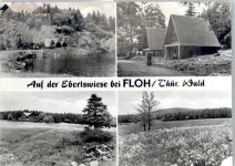 98593 O6084 Floh - Ebertswiese