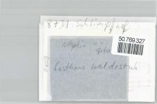 97723 W8731 Schlimpfhof FOTO KEINE AK Foto mit Negativ, Gasthaus zur Waldesruh