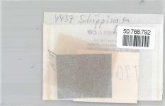 48624 W4437 Schöppingen FOTO KEINE AK Foto mit Negativ