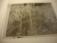 48329 W4409 Natrup KEINE AK Negativ